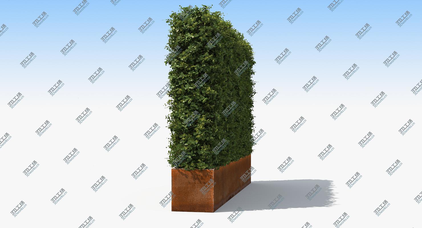 images/goods_img/202105071/Boxwood Hedge in a Planter with a Steel Rusted Patina Finish/2.jpg